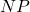 NP