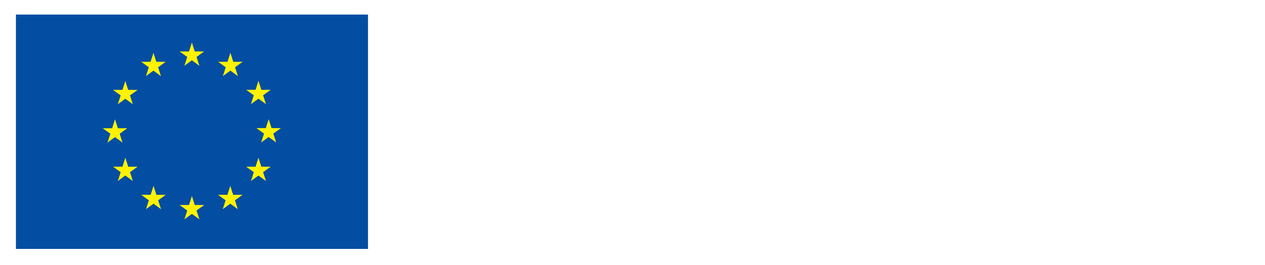 Avrupa Birliği tarafından finanse edilen